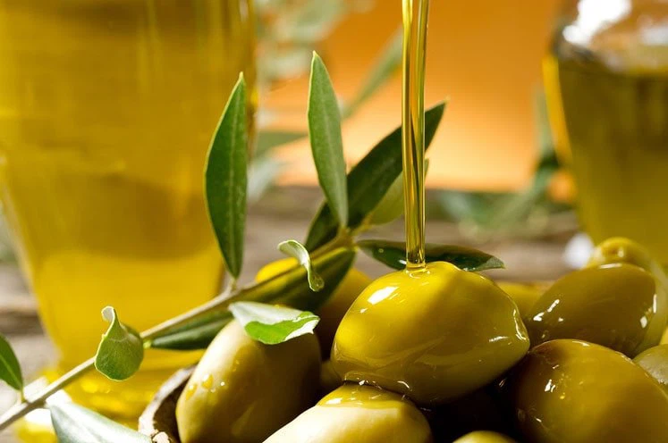 مصنع إنتاج زيت الزيتون البكر